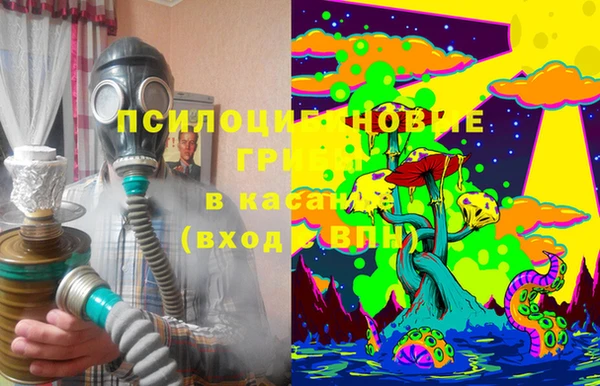 молекула духа Весьегонск