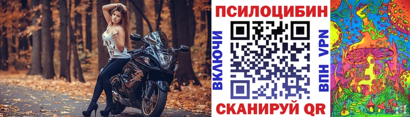 Галлюциногенные грибы GOLDEN TEACHER  Камышлов 